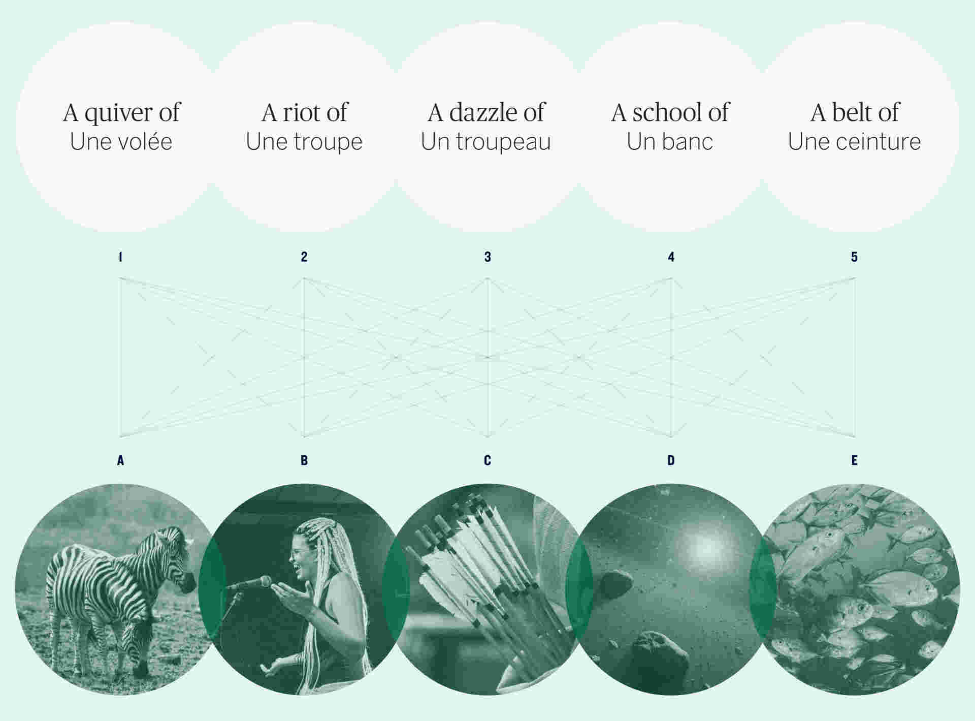 Combinaison gagnante - FeatureImage_Illustration-by-Paul-kawai-of-collective-noun-to-match-to-the-group-of-individuals