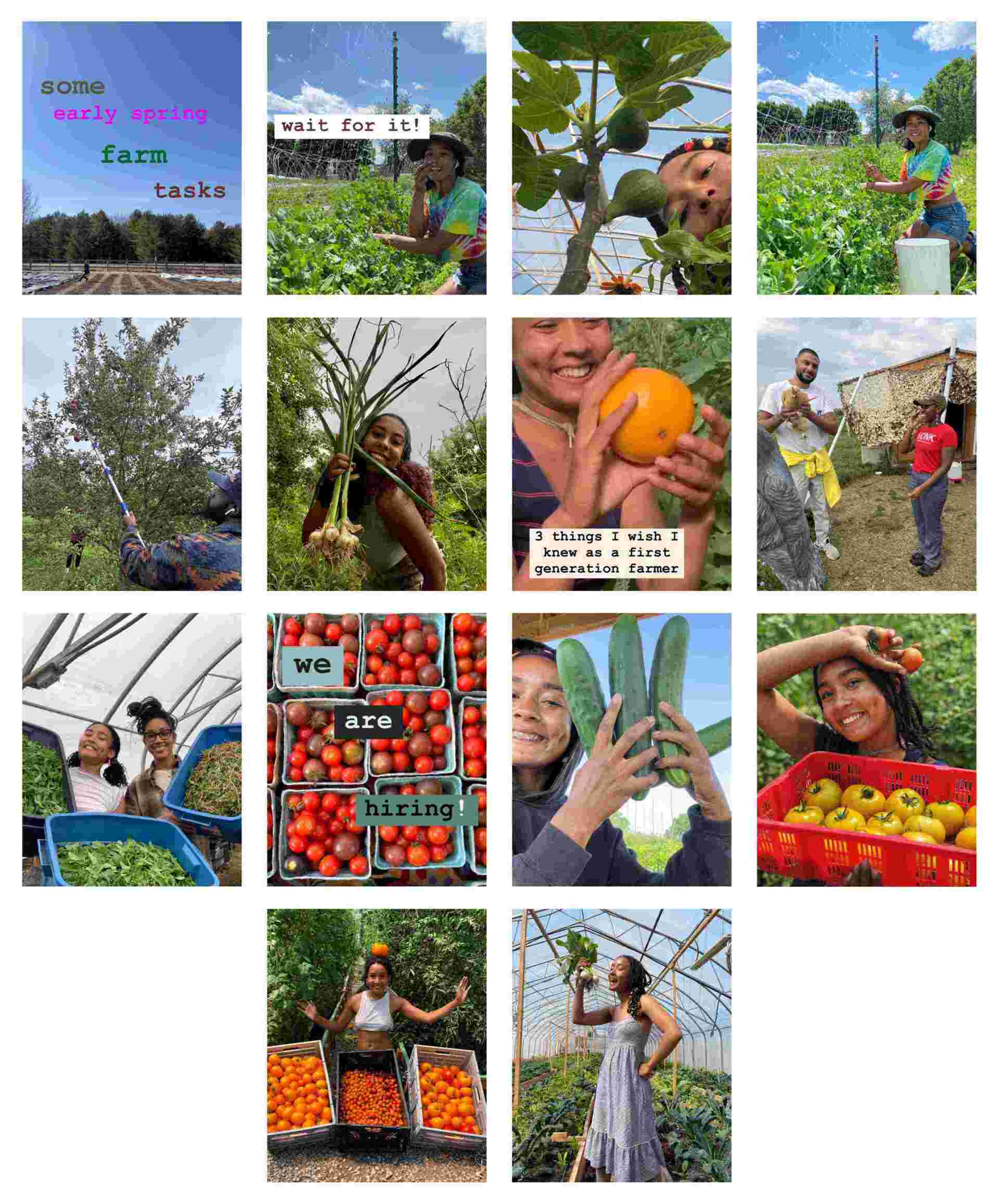 Food Security - 27-Collage-of-spring-farm-tasks-with-people-harvesting-vegetables