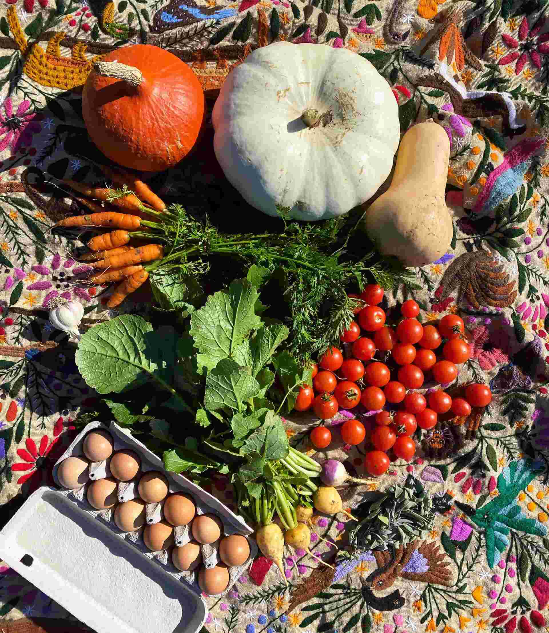 Food Security - 29-Assorted-vegetables-pumpkins-tomatoes-and-eggs-on-a-colorful-textile